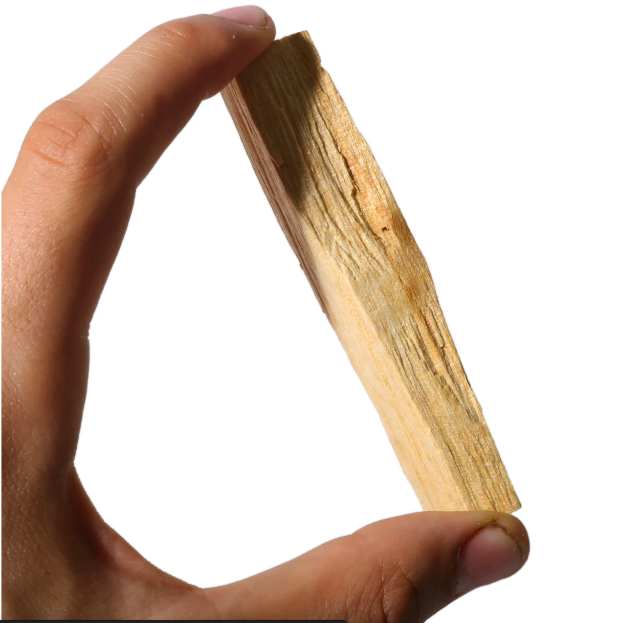 Palo Santo – Le Bois Sacré