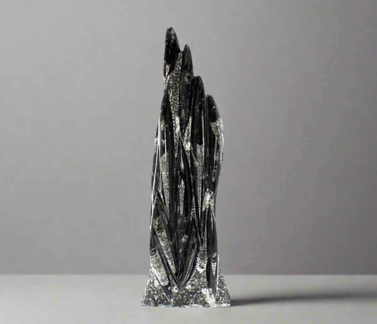 Orthoceras Tower Fossil – Pièce Unique