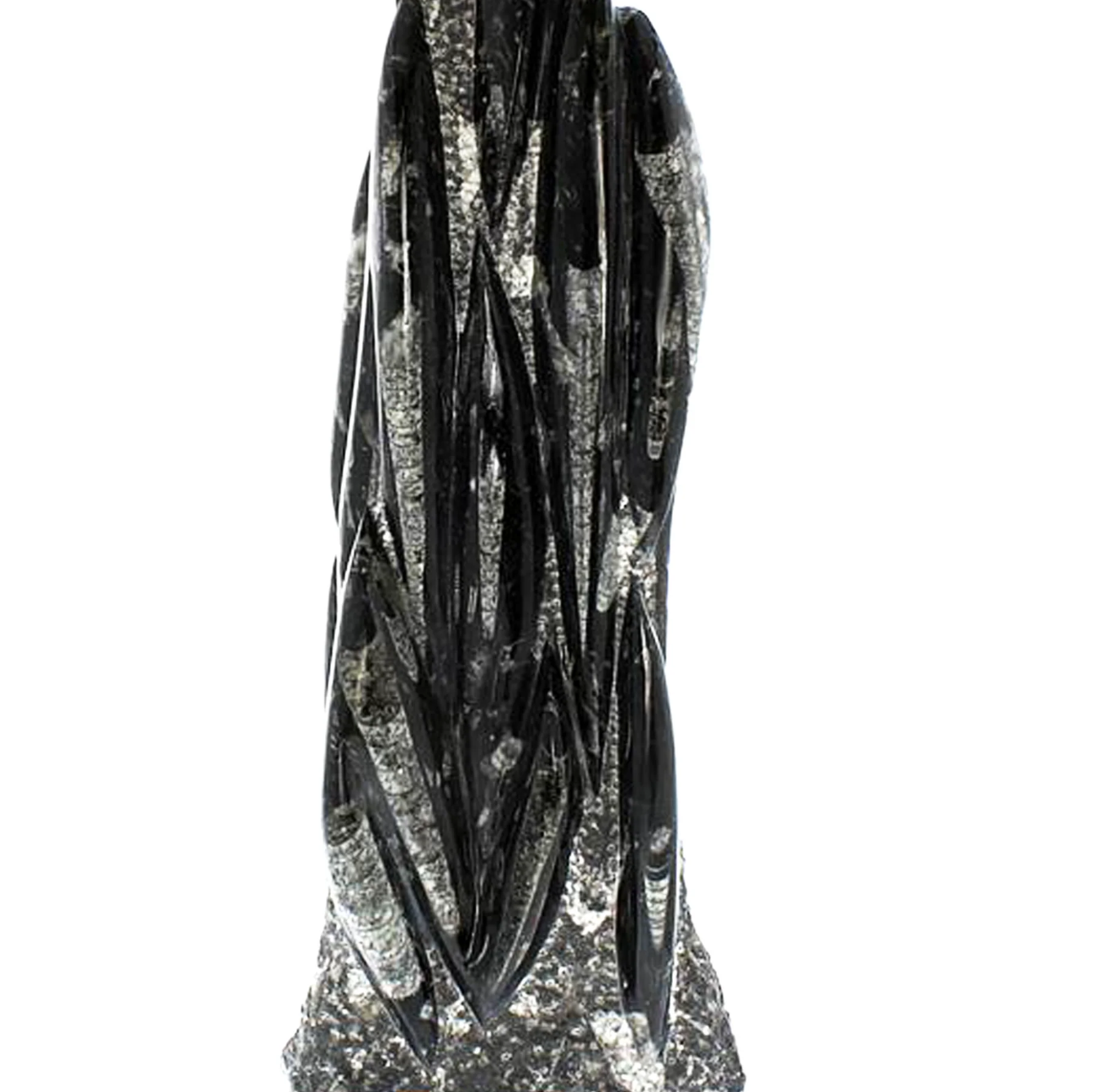 Orthoceras Tower Fossil – Pièce Unique